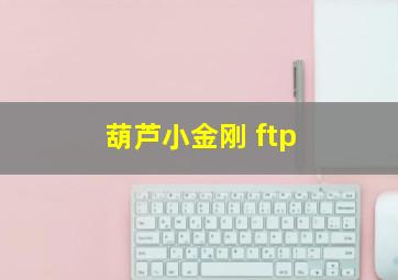 葫芦小金刚 ftp